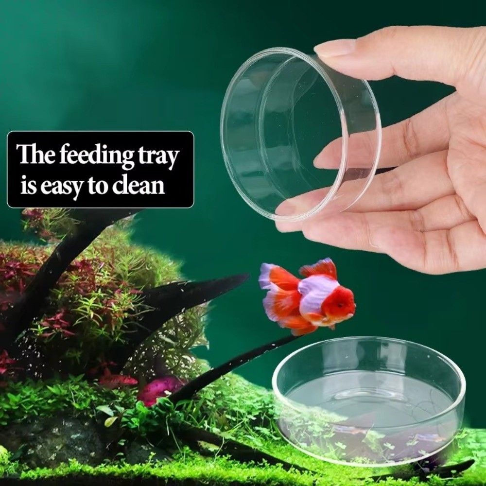 Cam Akvaryum Besleme Kabı Daya - Baby Food Shrimp incelemesi ve fiyatı