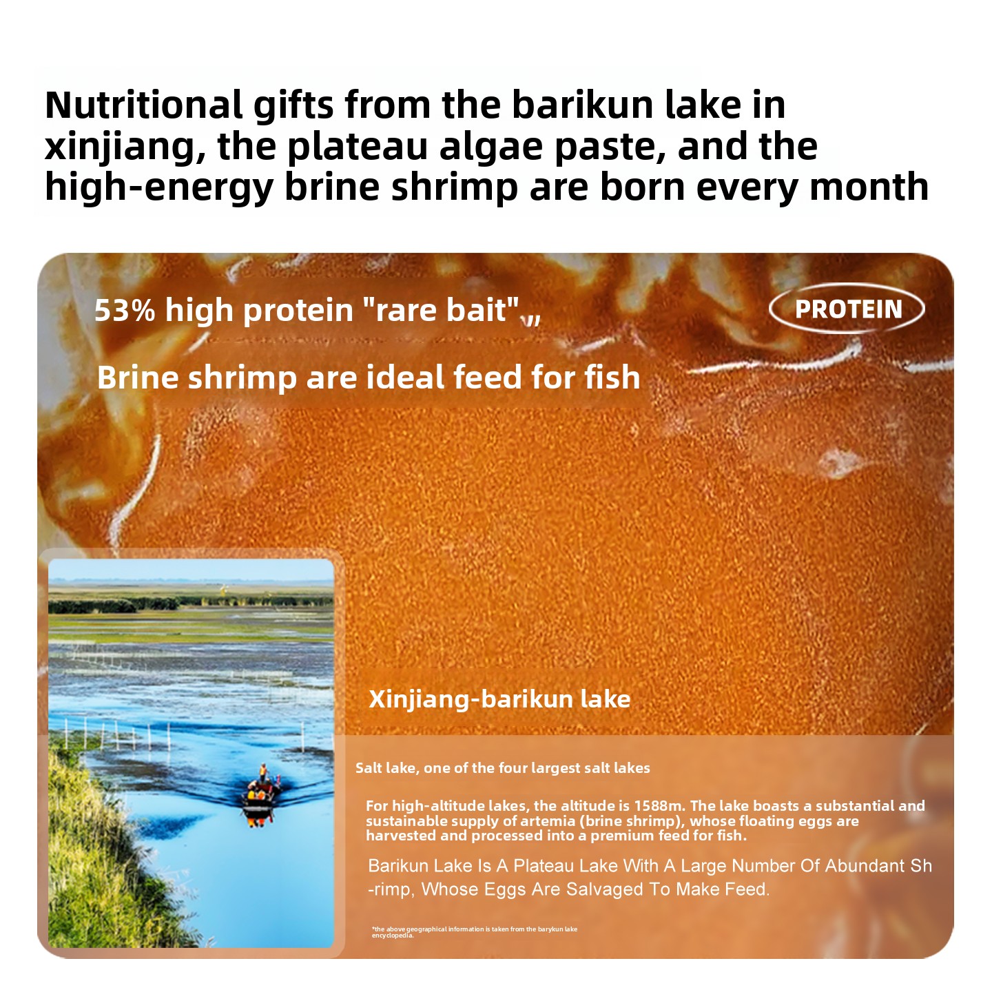 SANKii Dekapsüle Artemia, Çıkı - Baby Food Shrimp incelemesi ve fiyatı