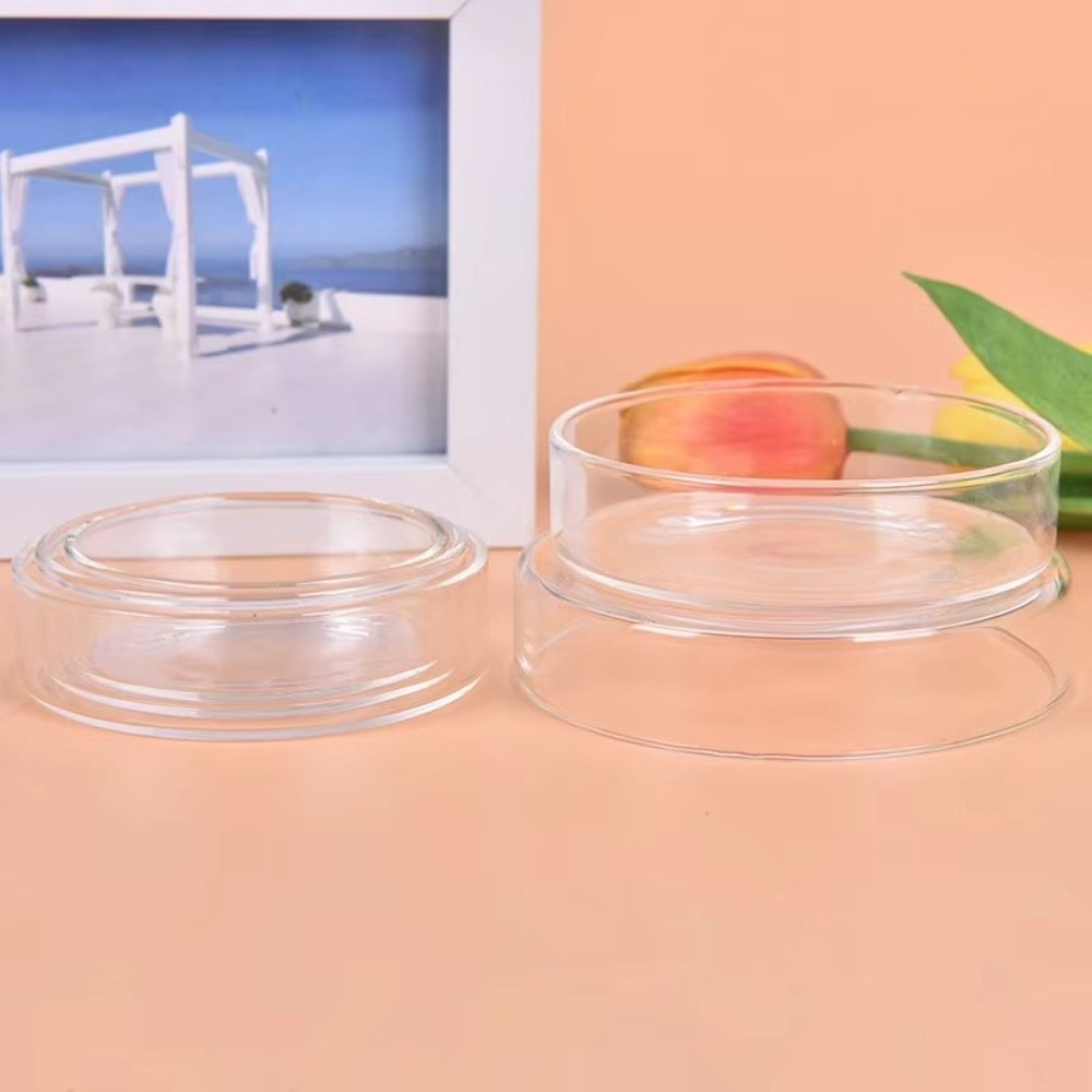 Cam Akvaryum Besleme Kabı Daya - Baby Food Shrimp incelemesi ve fiyatı