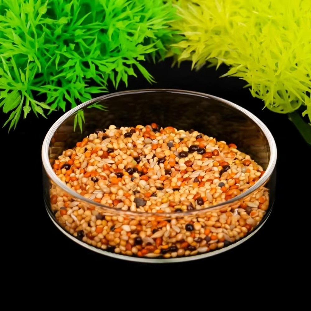 Cam Akvaryum Besleme Kabı Daya - Baby Food Shrimp incelemesi ve fiyatı
