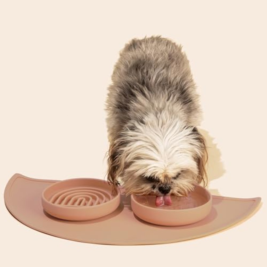 Yavaş Besleme Köpek Maması Kap - Silicone Suction Bowl incelemesi ve fiyatı