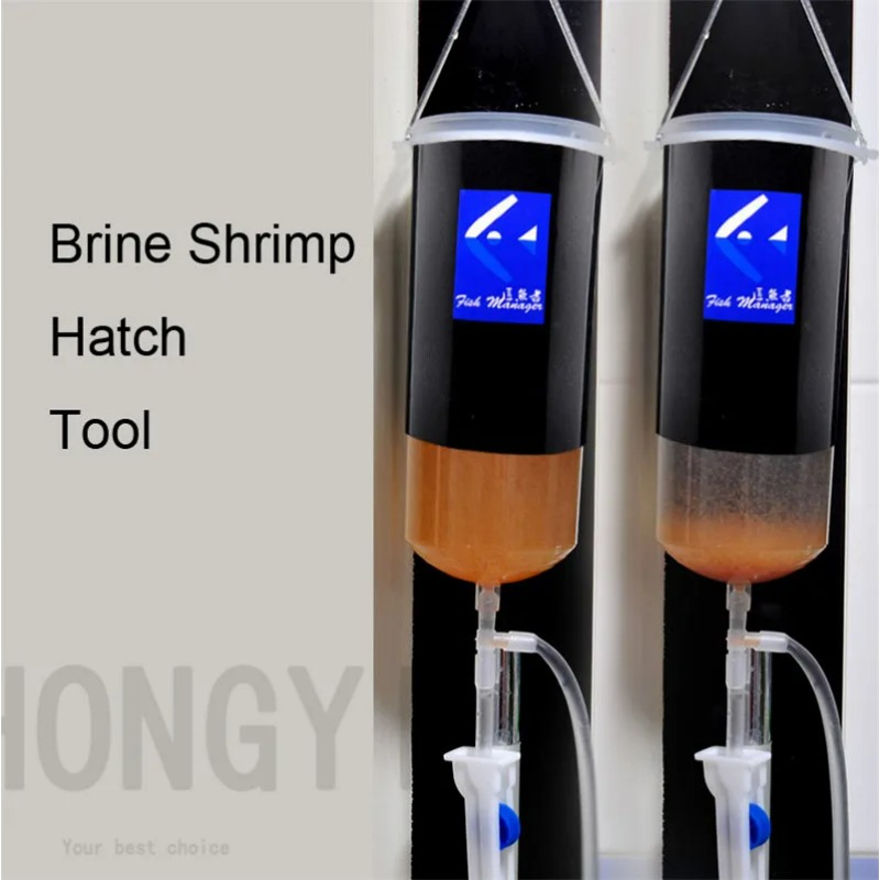 Peri karides yumurta artemia c - Baby Food Shrimp incelemesi ve fiyatı